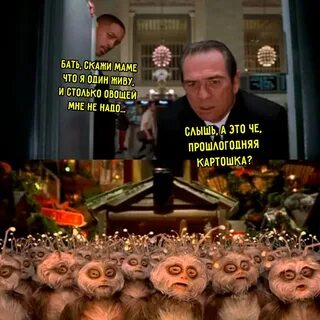 Лучшие мемы 