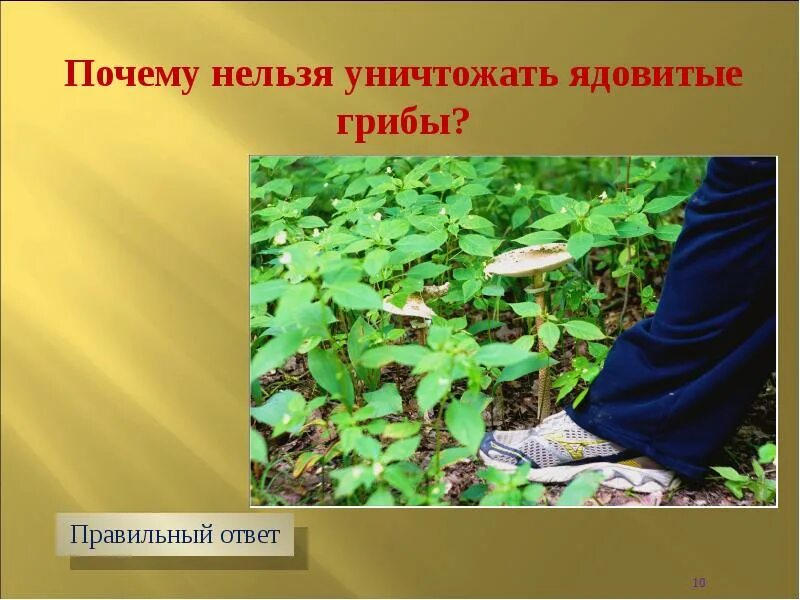 Причины по которым надо ходить в библиотеку. Почему нельзя ходить. Смешные вопросы и ответы. Почему нельзя делить на ноль. Ответы почему нельзя.