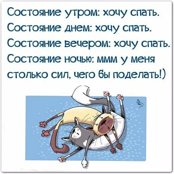 Почему утром проснувшись не можешь уснуть