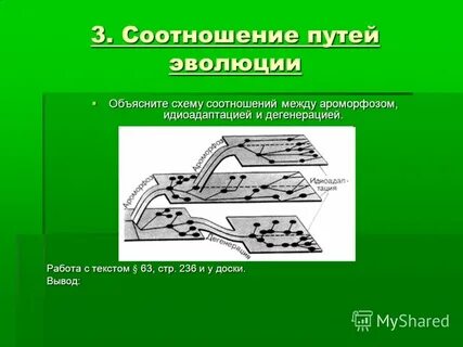 Эволюционное значение идиоадаптации насекомых