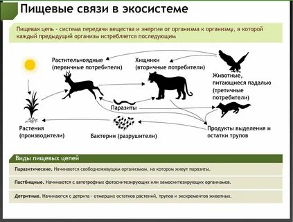 Тест по биологии среды обитания организмов Kitma.ru