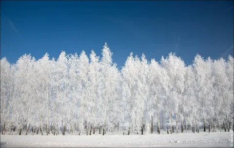 Белоснежные пейзажи