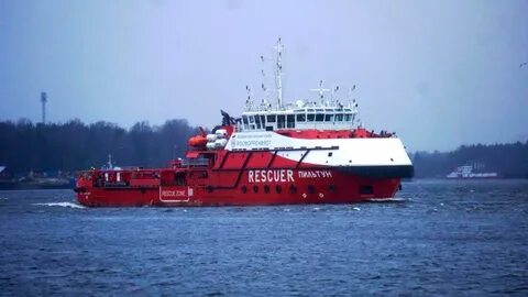 Питомник стаховского поселок красный буксир