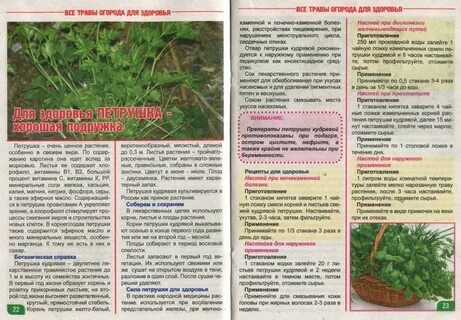 Петрушка простатит