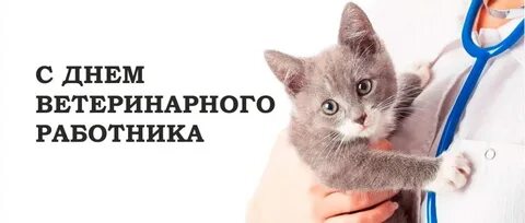 День ветеринарного врача в беларуси