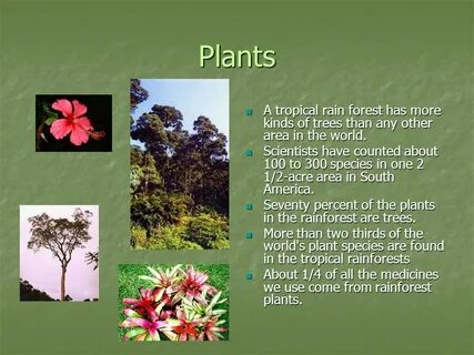 Plants are