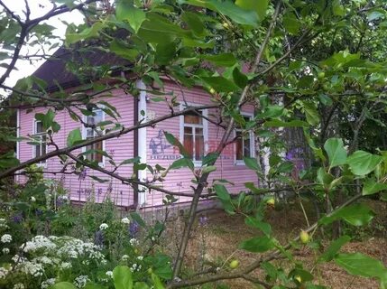 Дача в васкелово