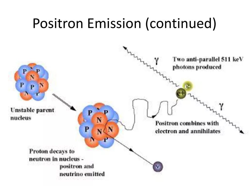 Позитронный распад. Positron emission. Positron emission tomography. Proton Neutron Positron. Позитрон распад.