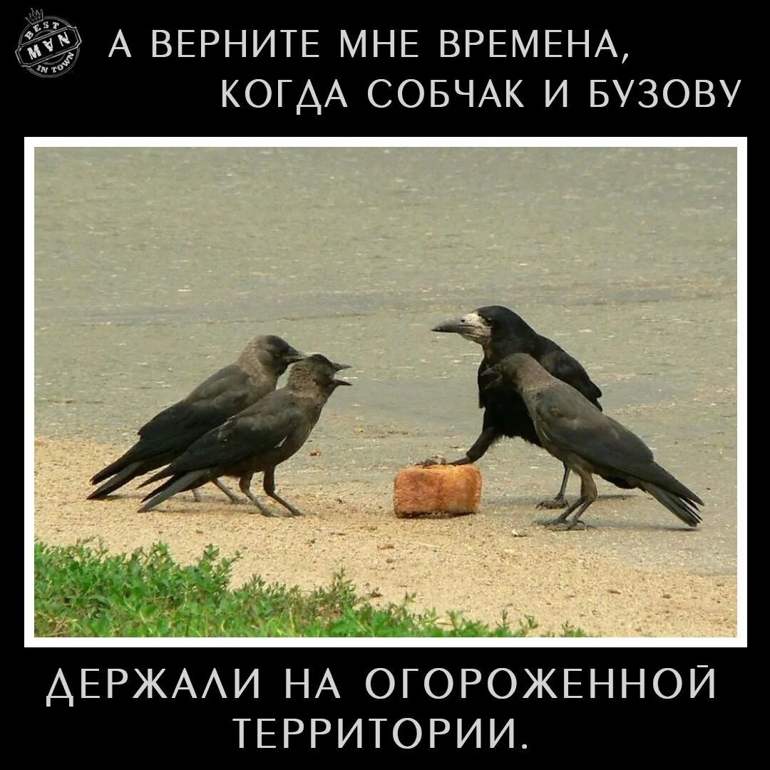 Покажи товар покажи деньги