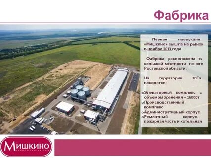 Мишкино рынок