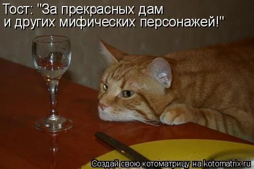Вам пить нельзя. На работе пить нельзя. Вам пить нельзя. Пить нельзя картинки. Вам пить нельзя.