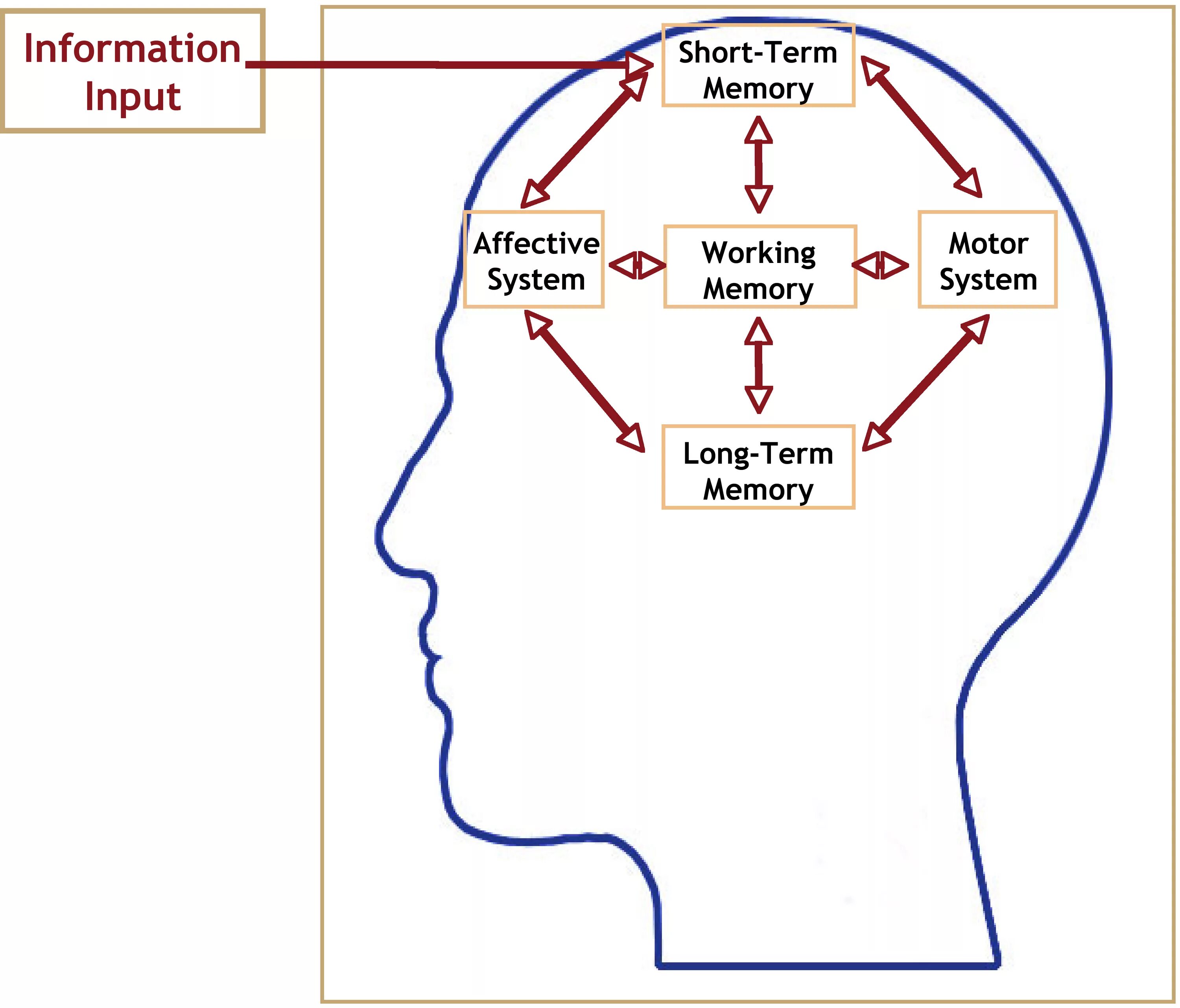 Not enough system memory. Когнитивная карта стрессу. Когнитивная карта сенсорной памяти. System Memory. Short-term Memory mem.