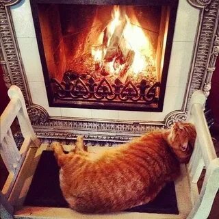 Сидеть на печках