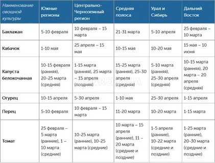 Сроки посева семян помидоров