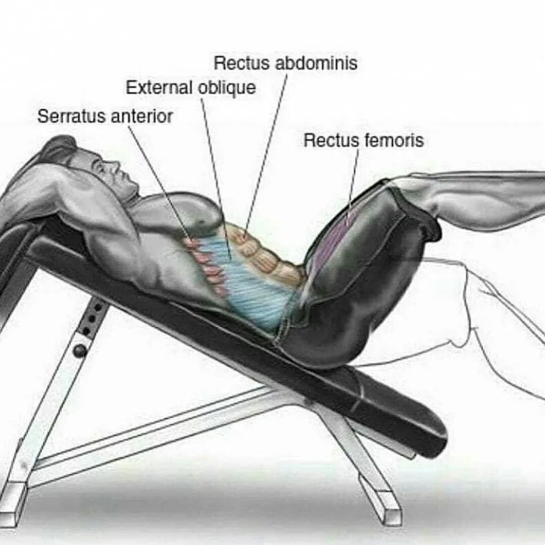 Tunturi abdominal bench ab20. Подъем корпуса на наклонной скамье на пресс. Скручивания на скамье для пресса. Подъем туловища на наклонной скамье. Подъем туловища на наклонной скамье.