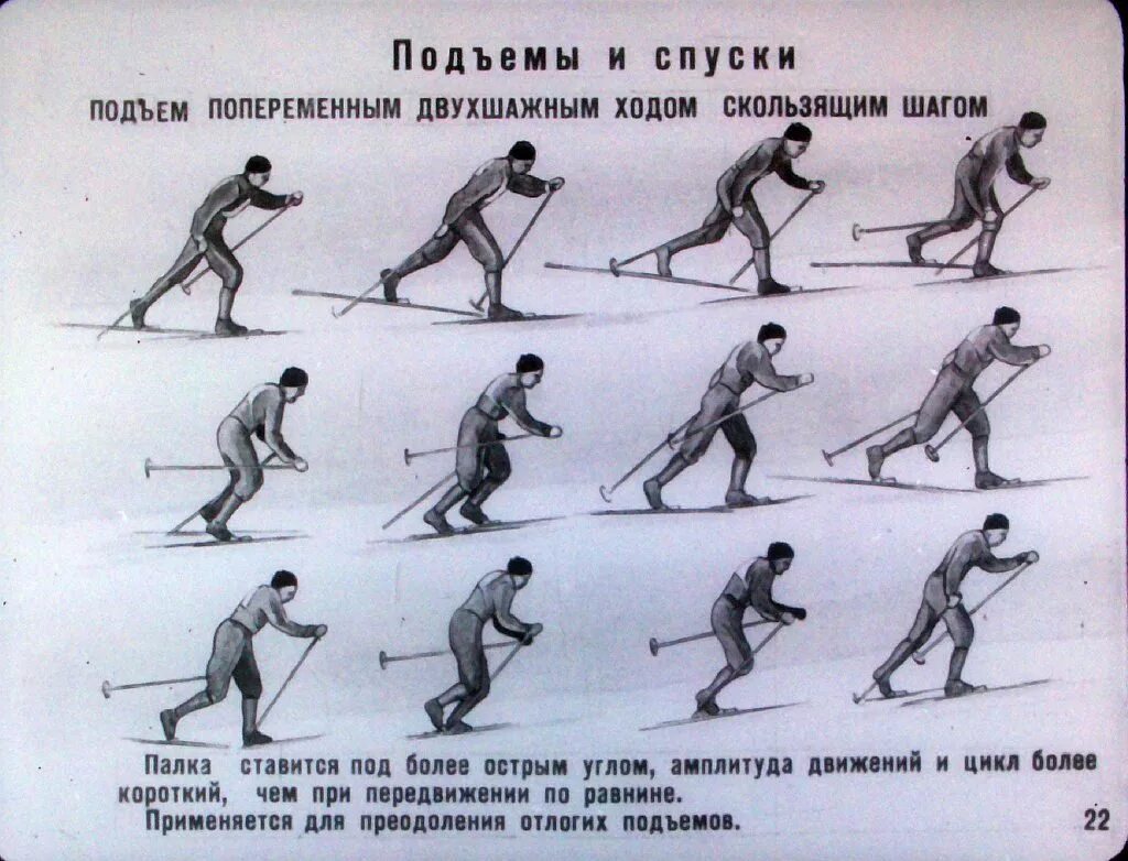 Техника передвижения на лыжах. Упражнения технику передвижения на лыжах. Основные элементы техники передвижения на лыжах. Техника передвижения на лыжах схема. Элементы передвижения на лыжах