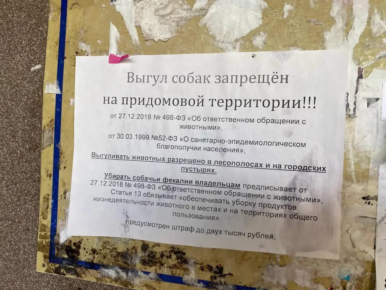 Закон о запрете животных. Запрещено выгуливать собак на придомовой территории. объявление выгул собак запрещен на придомовой территории. объявления о запрете выгула собак на придомовой территории. объявление о запрете алкоголя.