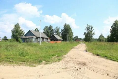 Н п козинка
