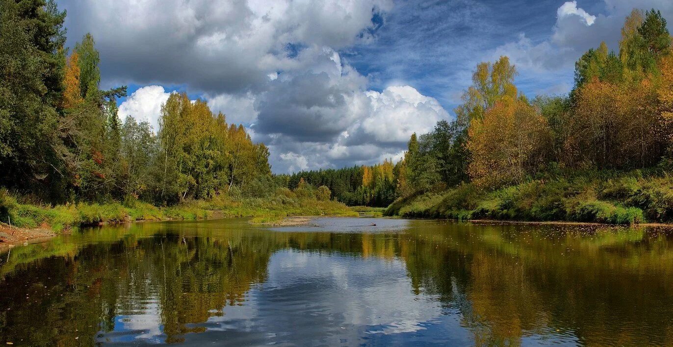 Реки россии осенью. Река осень Тверская область. Река Лоймина. Река Печора фотопейзажи. Озеро чудное Балашиха.