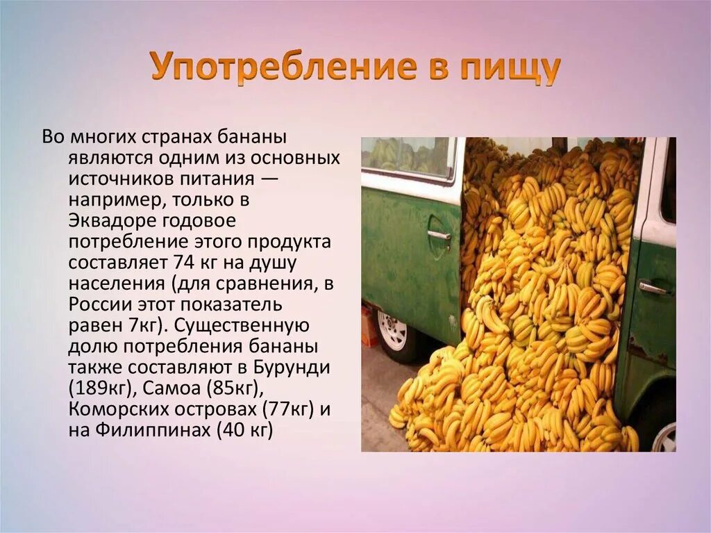 Сообщение о банановых и ананасовых волокнах