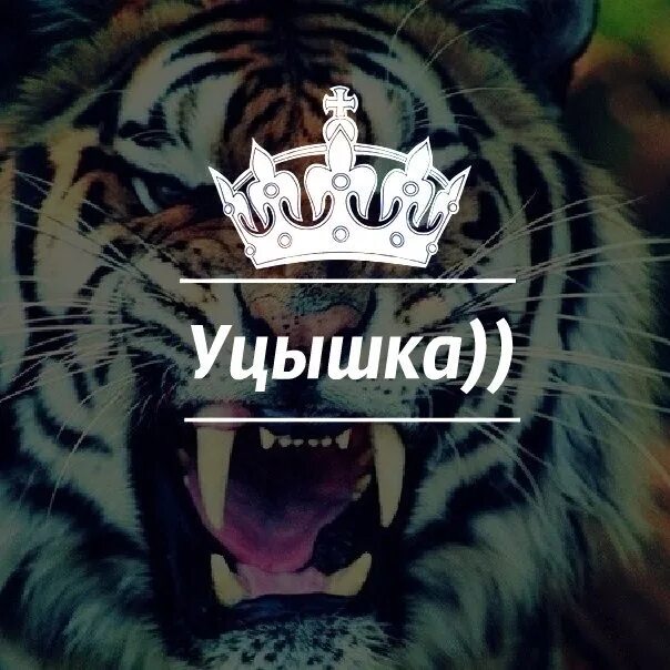 Что такое уцы. Что такое уцышка и вацок. салам уцышка. уцышка фото. уцышка на дагестанском.