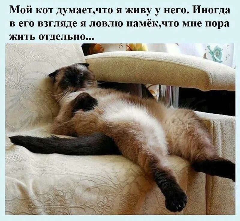 Чтобы на работе все было хорошо