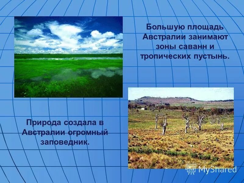 10 стран по площади территории на карте. Какие зоны занимают самую большую площадь. Какие зоны занимают самую большую площадь. Территория которая занимает наибольшую площадь в россии. Какая природная зона занимает наибольшую площадь.