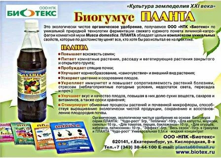 Планта чудо