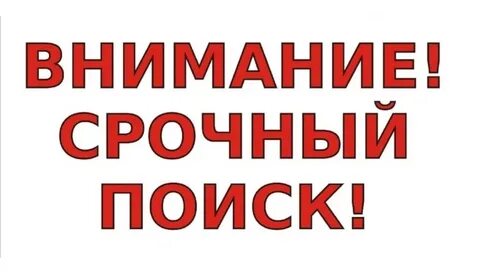 Искать внимание или внимания