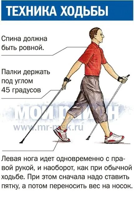 Ошибки ходьбы. Техника скандинавской ходьбы. правильная скандинавская ходьба. правильная техника скандинавской ходьбы с палками инструкция. правильна постановка палок при скандинавская ходьба.