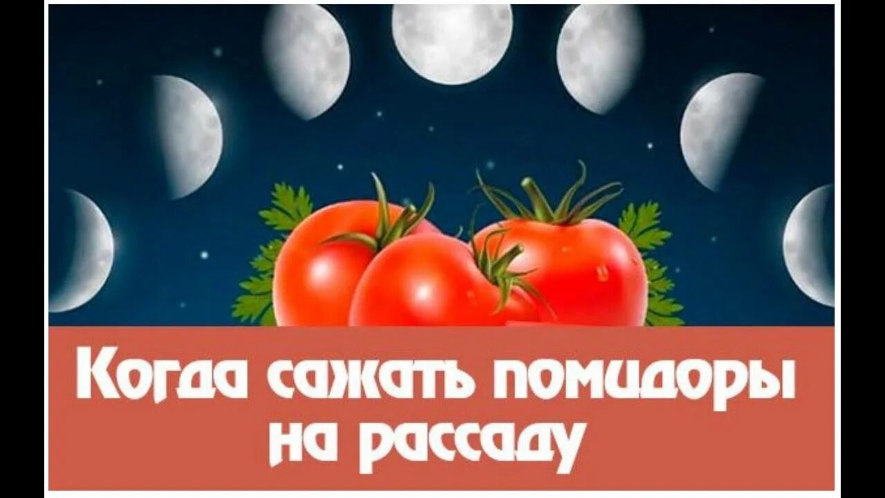 Календарь посадки томатов. Лунный календарь для томатов. Когда сажать помидоры. Лунный календарь для посадки томатов. Срок посадки помидор на рассаду в марте