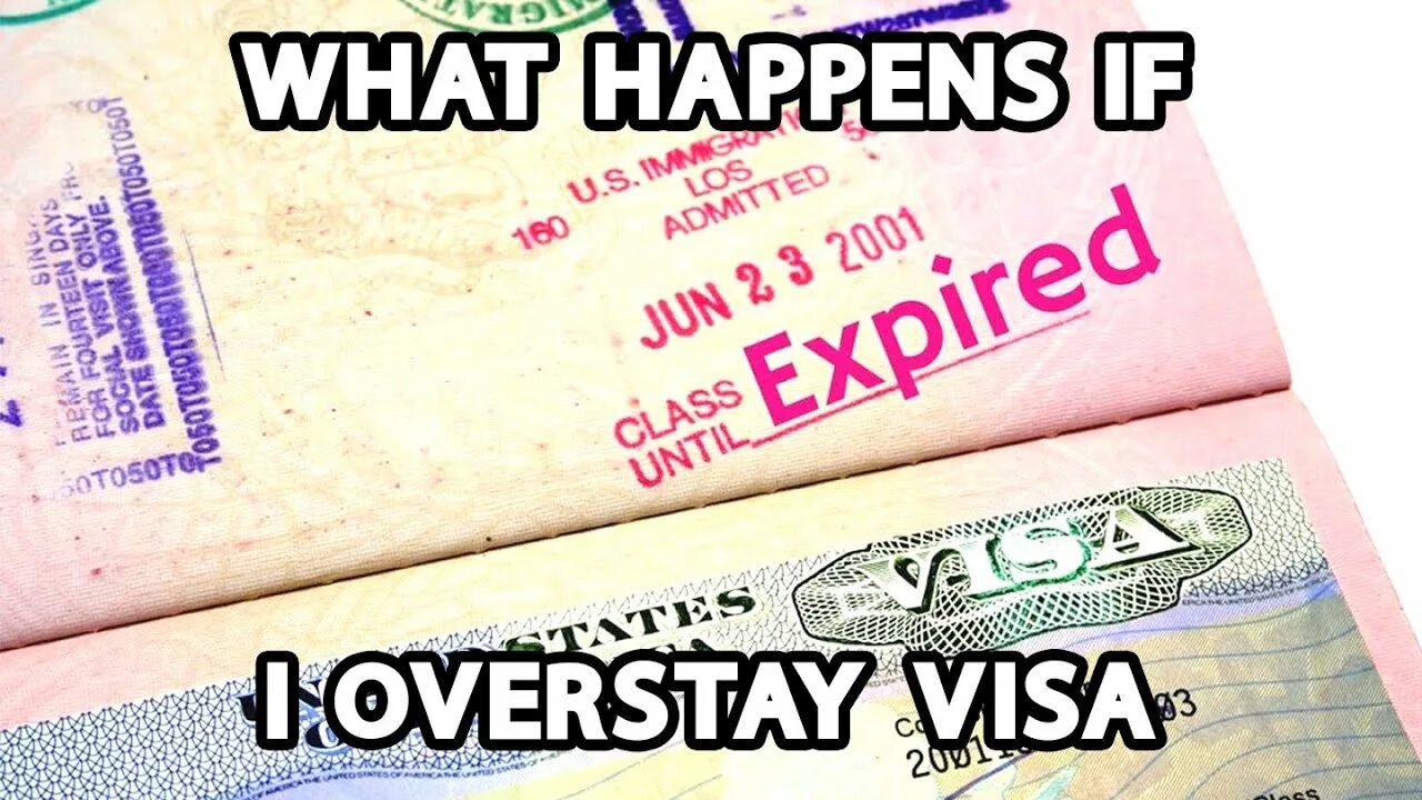 Ббайер тайм мем. I got my visa. I got my visa. Cod russian visa for afghanistan. My visa.