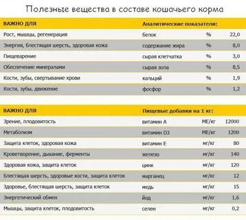 Качество кошачьего корма рейтинг