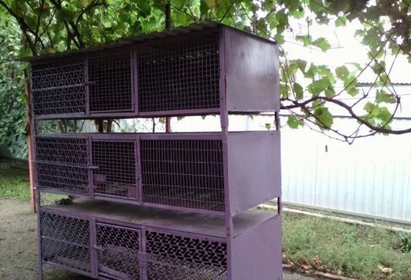 Клетки для нутрий многоярусные. Жилье для нутрий. Клетки для нутрий фото. Маточники нутрии. Трехъярусные клетки для кроликов.