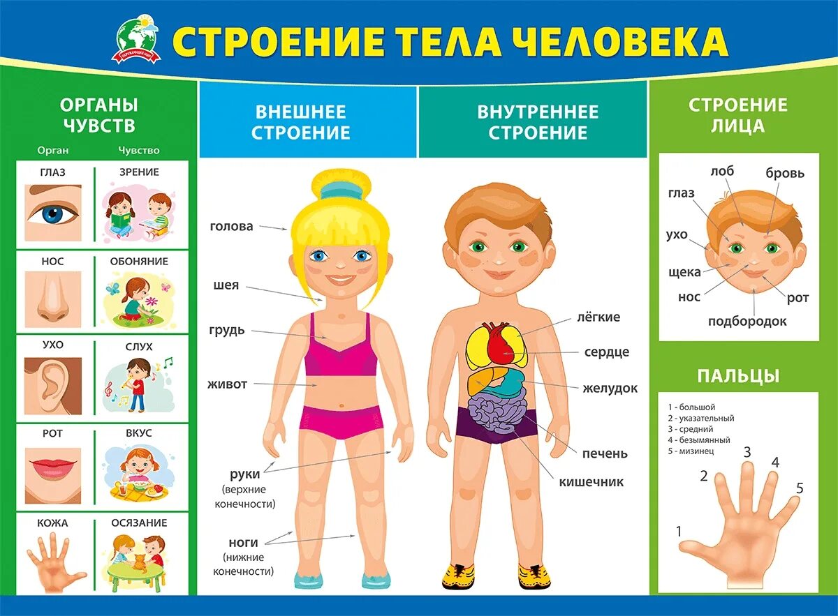 Нетрадиционная техника изображения человека в движении (4 фото). Воспитателям де