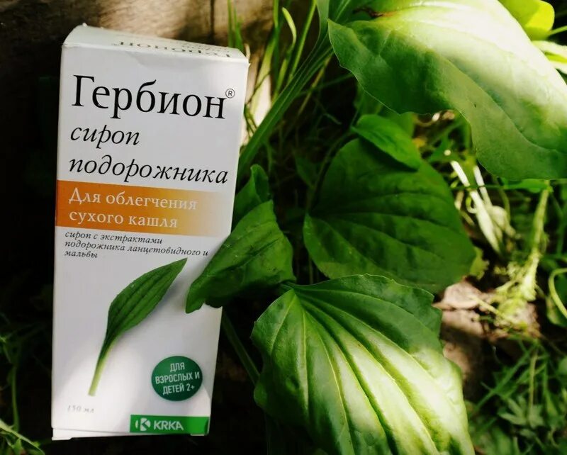 Подорожник можно беременным. Гербион сироп подорожника. гербион с подорожником. гербион кашля гербион от сухого. гербион подорожника пастилки.