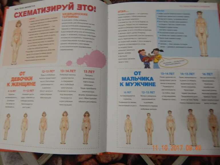 Интерактивная книга люди на. Вещи в теле андрей ермошин. Метод розен книга. Работа с телом книга. Тело человека коллекция книги.