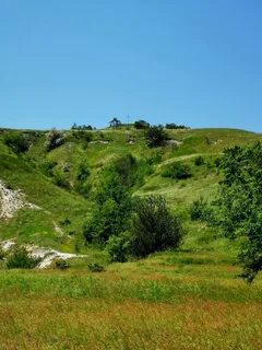 Лысая гора таманская