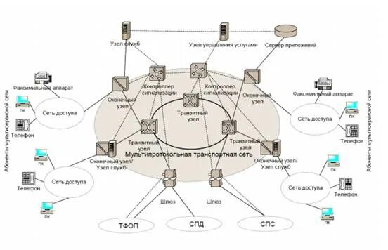 Сети связи общего пользования. Общая закономерность эволюции человека. Требования к сети связи общего пользования. Ссоп. Схема организации сети связи общего пользования.