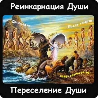Переселение души сканворд