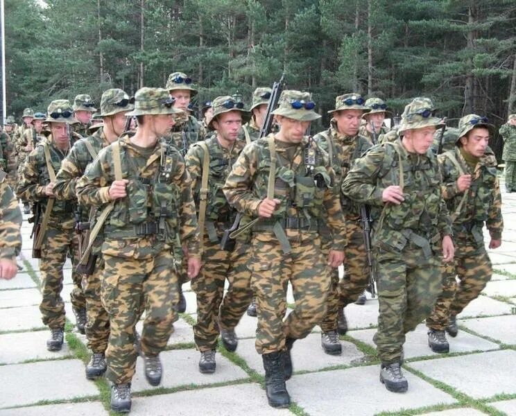 2008 вс рф. Сухопутные войска. Военные разных родов войск. Военная форма Российской Федерации. Сухопутные войска Российской Федерации форма.