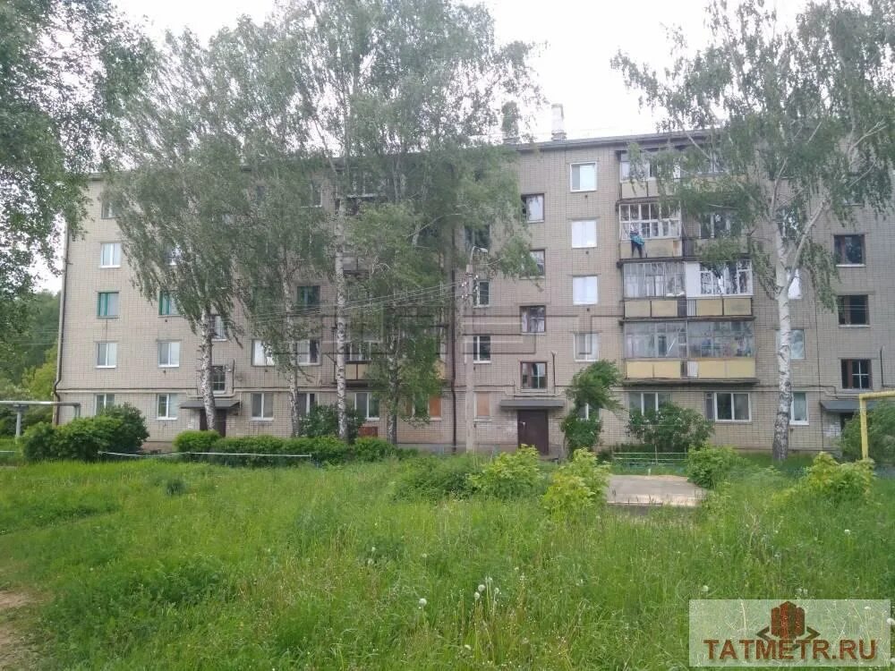 Поселок научный городок барнаул. Казань научный городок 2. Бытовочный городок на 12 человек. Научный городок 1. Больница луговая лобня.