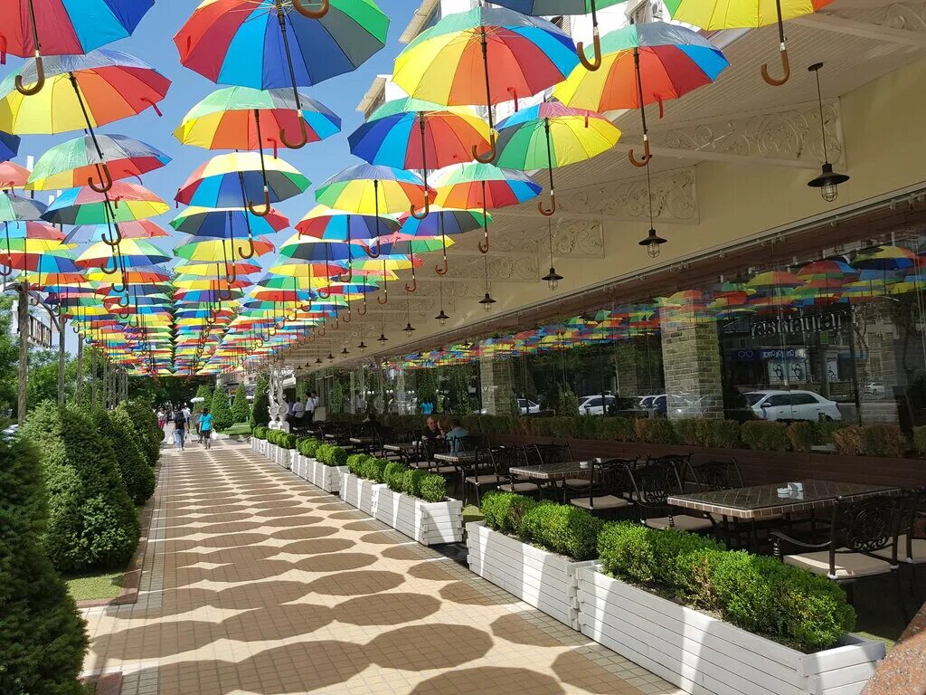 Стамбул ташкент авиабилеты. Туры ташкент истанбул. Выставка конья турция 2023. Истанбул султан ахмад. Ташкент - стамбул uz.