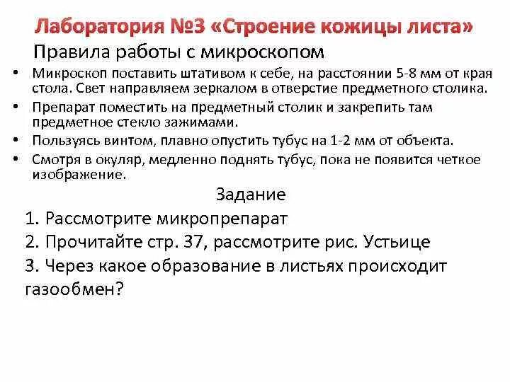 Моя лаборатория выполните задания. Лаборатория по строение кожицы листа. Задачи лист компрененшен.