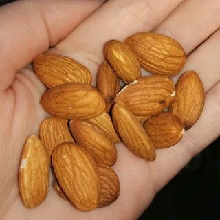 Миндаль дома