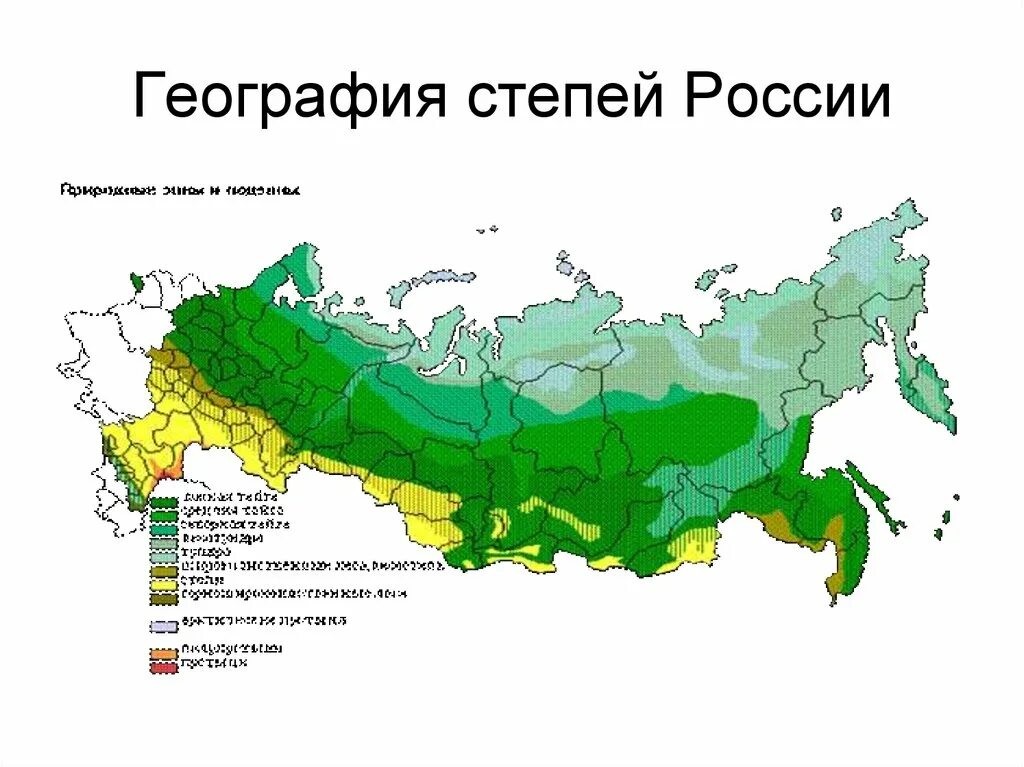 Зона степей на карте России. Географическое положение степи в России на карте. Карта зоны степей на территории России. Расположение степей в России на карте. С какими зонами граничит степь