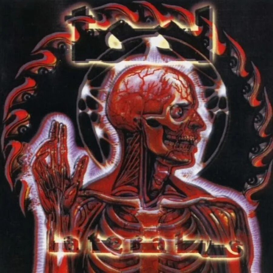 Tool альбомы. Tool lateralus обложка. tool lateralus 2001. lateralus tool album. алекс грей lateralus.