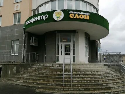 Счастливый слон пенза