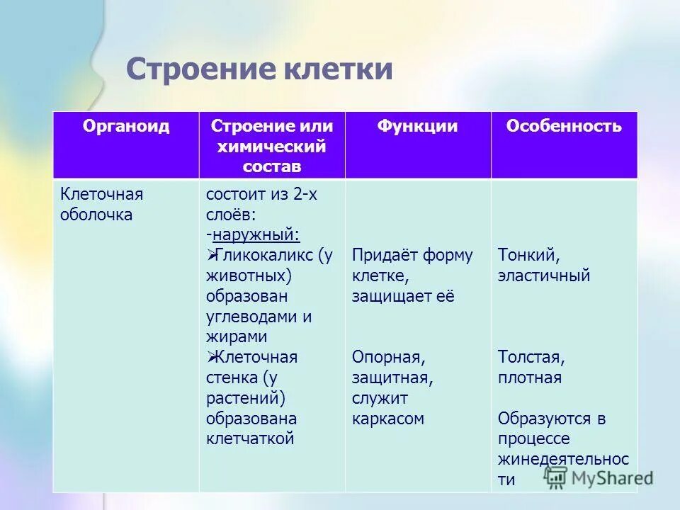 Какую функцию имеет оболочка. Клеточная стенка структура клетки строение функции. Строение и химический состав клеточной стенки. Строение клетки органоиды клеточная стенка и мембрана. Особенности строения клеточной стенки таблица.