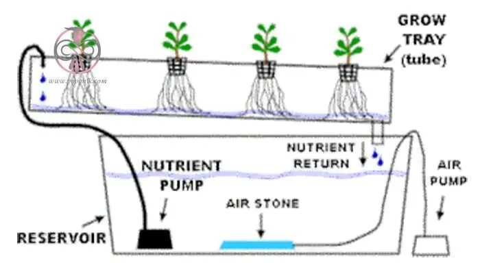 Nft ава вк обложка. Nft изображения. Создать аватарку для вк. Система капельного полива гидропоника схема. Схема гидропонной установки.